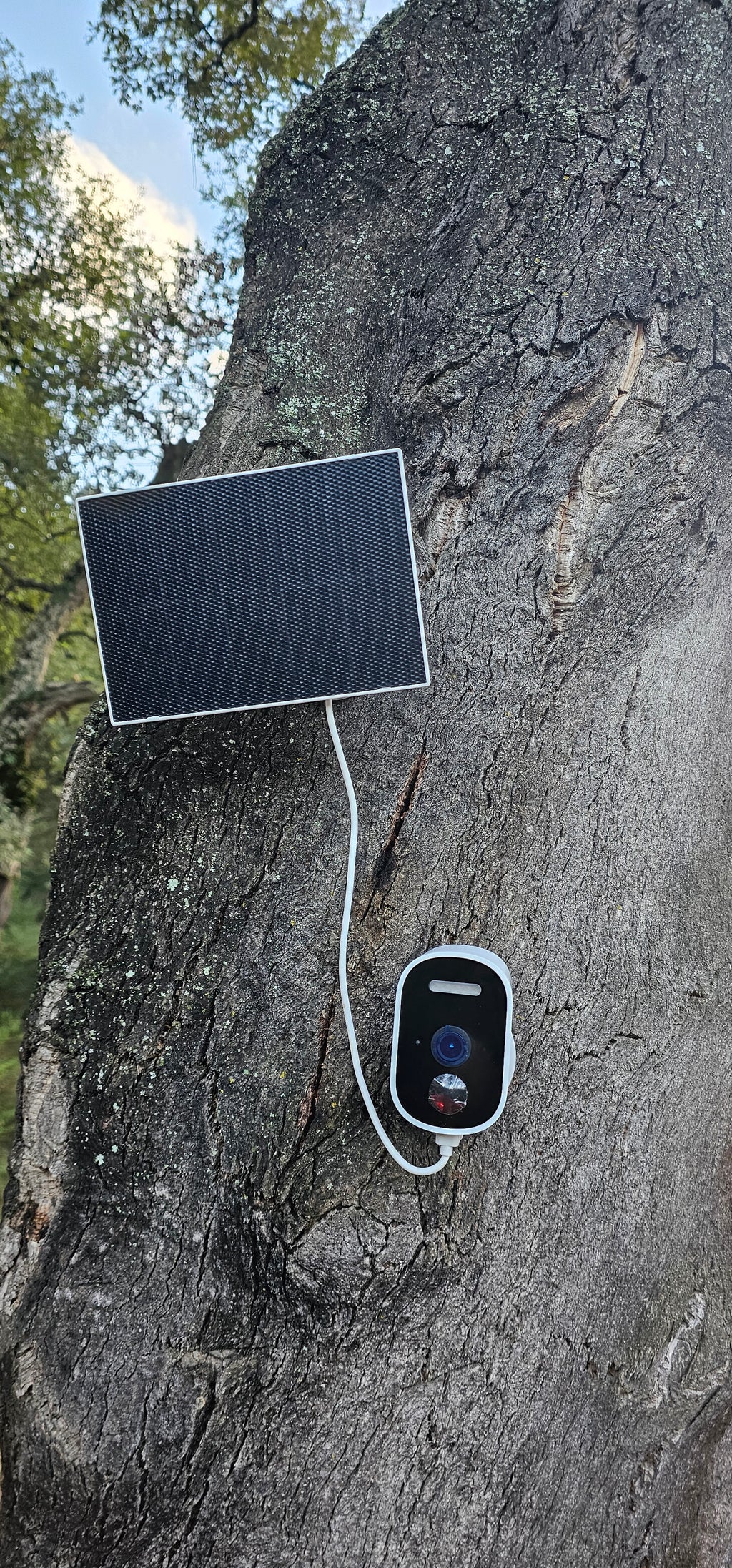 4g  كامرة طاقة شمية 🇩🇿