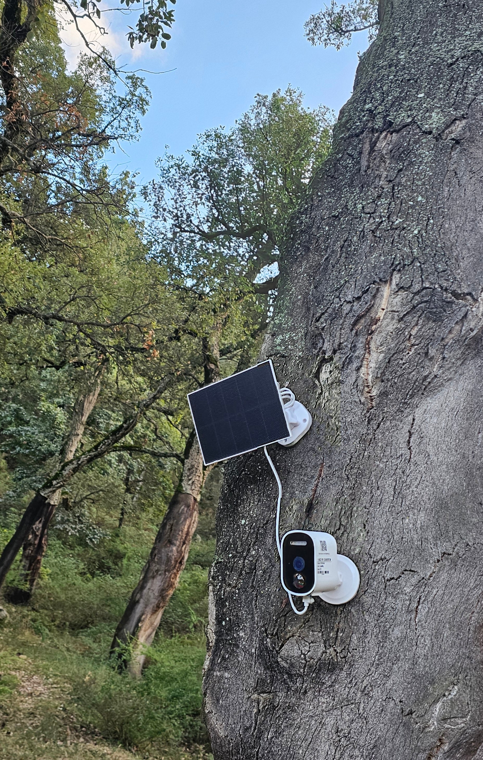 كامرة تمشي بلا تريسيتي 💡و بلا wifi