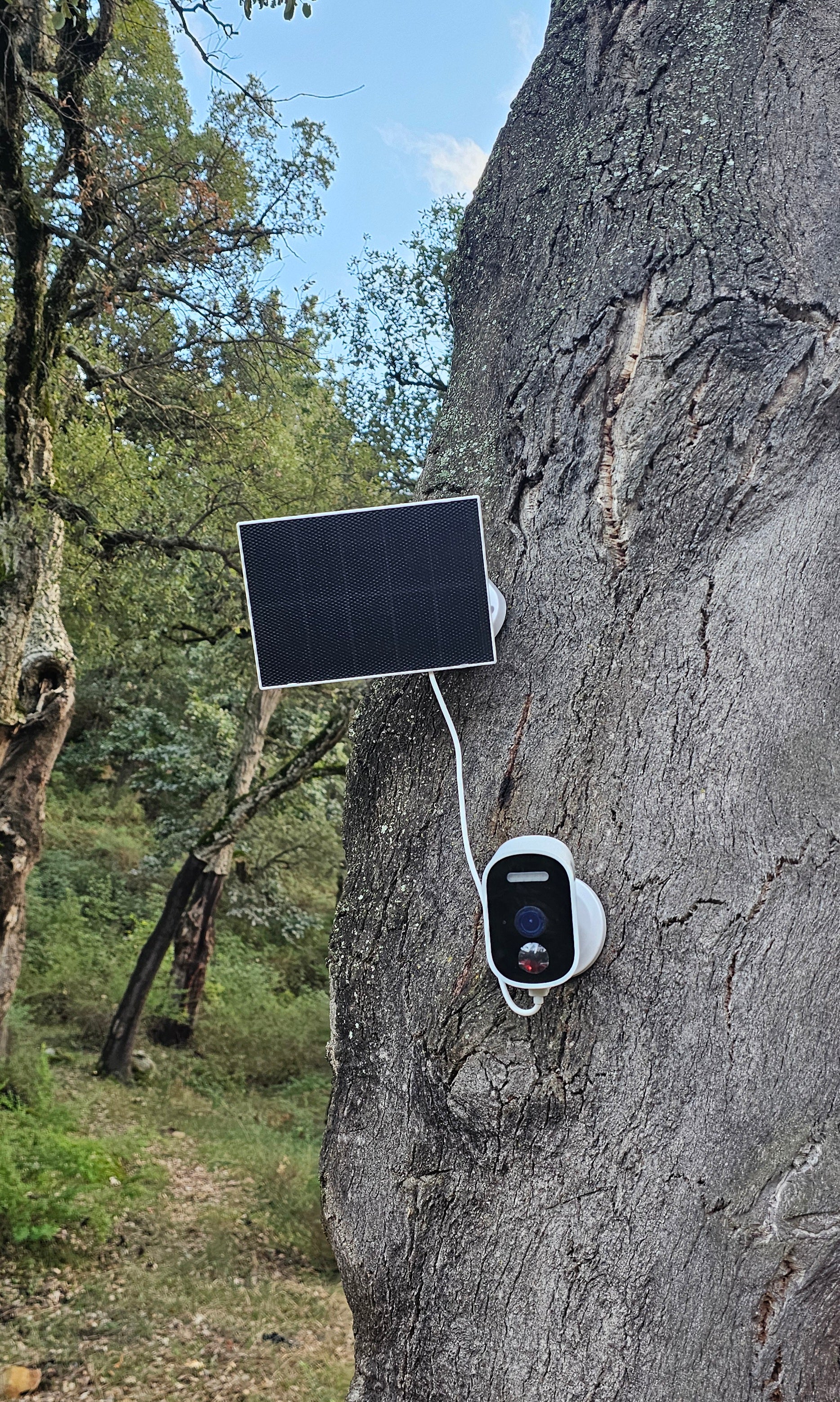 كامرة تمشي بلا تريسيتي 💡و بلا wifi